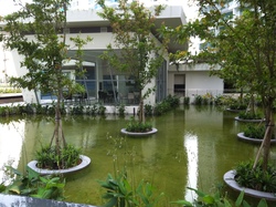 Waterfront Waves (D16), Condominium #375548561